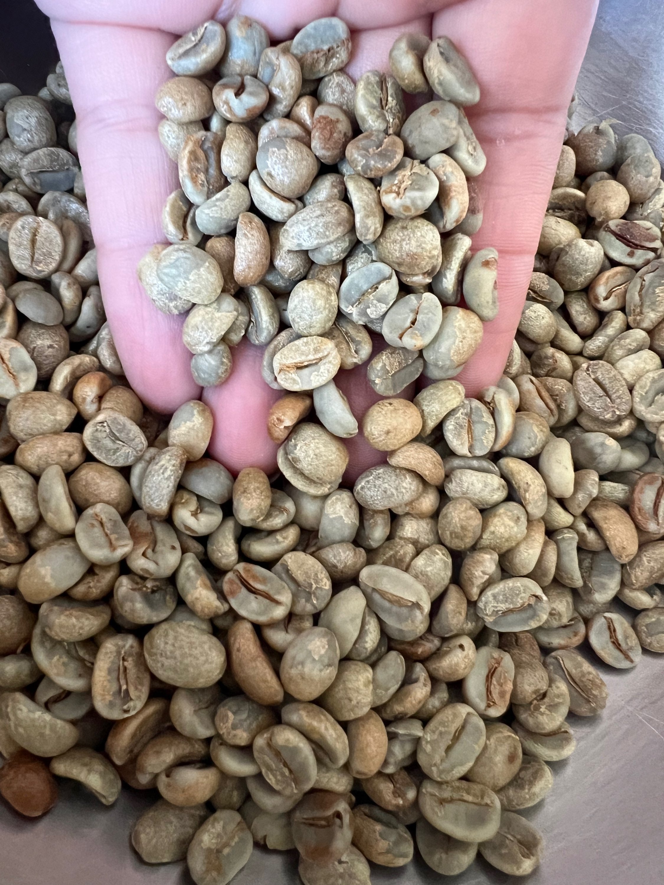 Green Del Cid Coffee