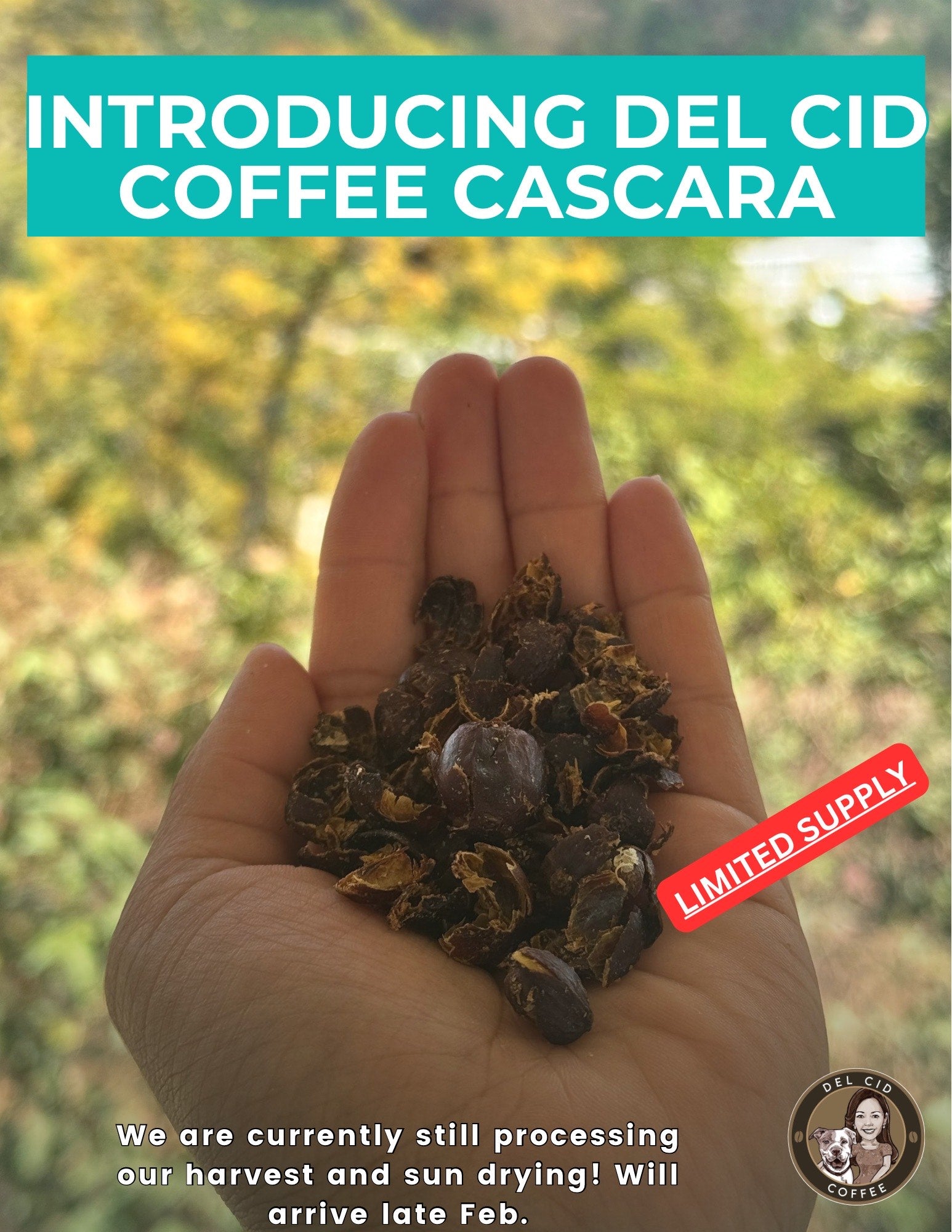 CASCARA 3oz (Coffee Cherry Peel) image 0