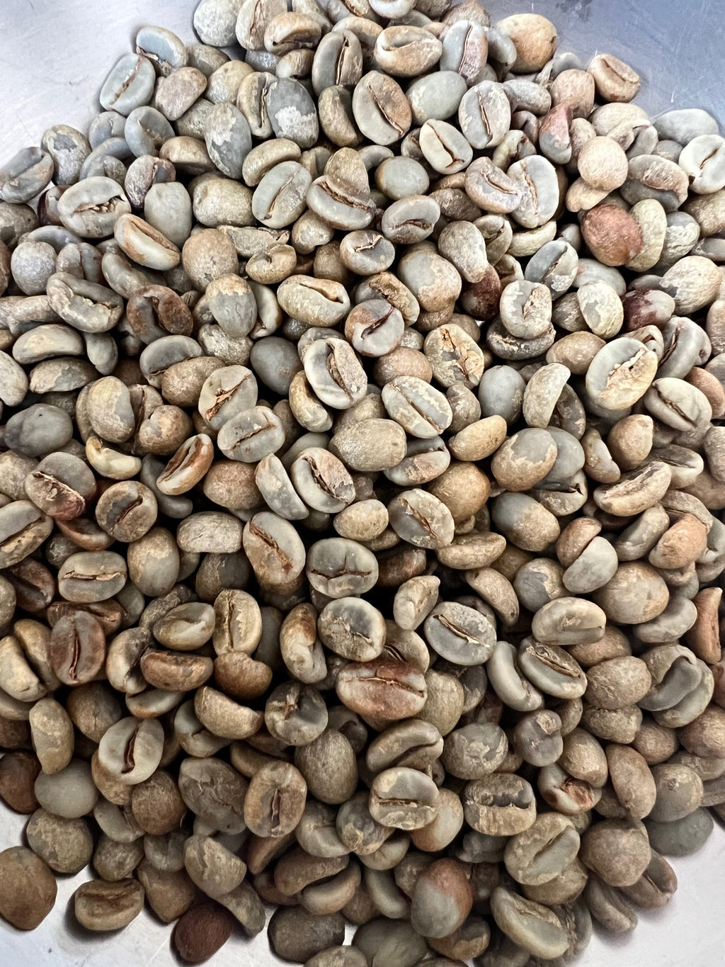 Calidad (Green Coffee Seeds) 1LB image 1