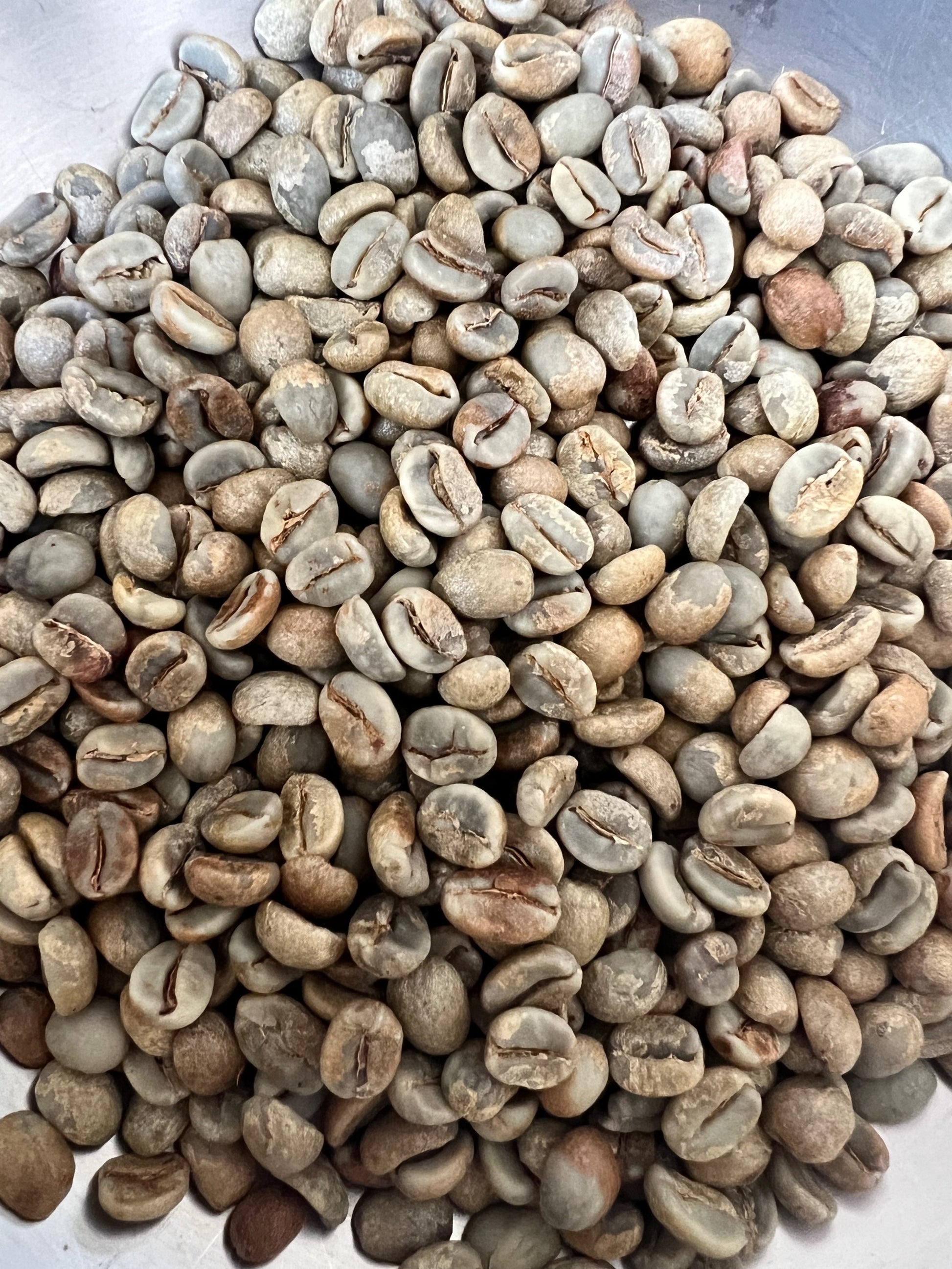 Calidad (Green Coffee Seeds) 1LB image 1