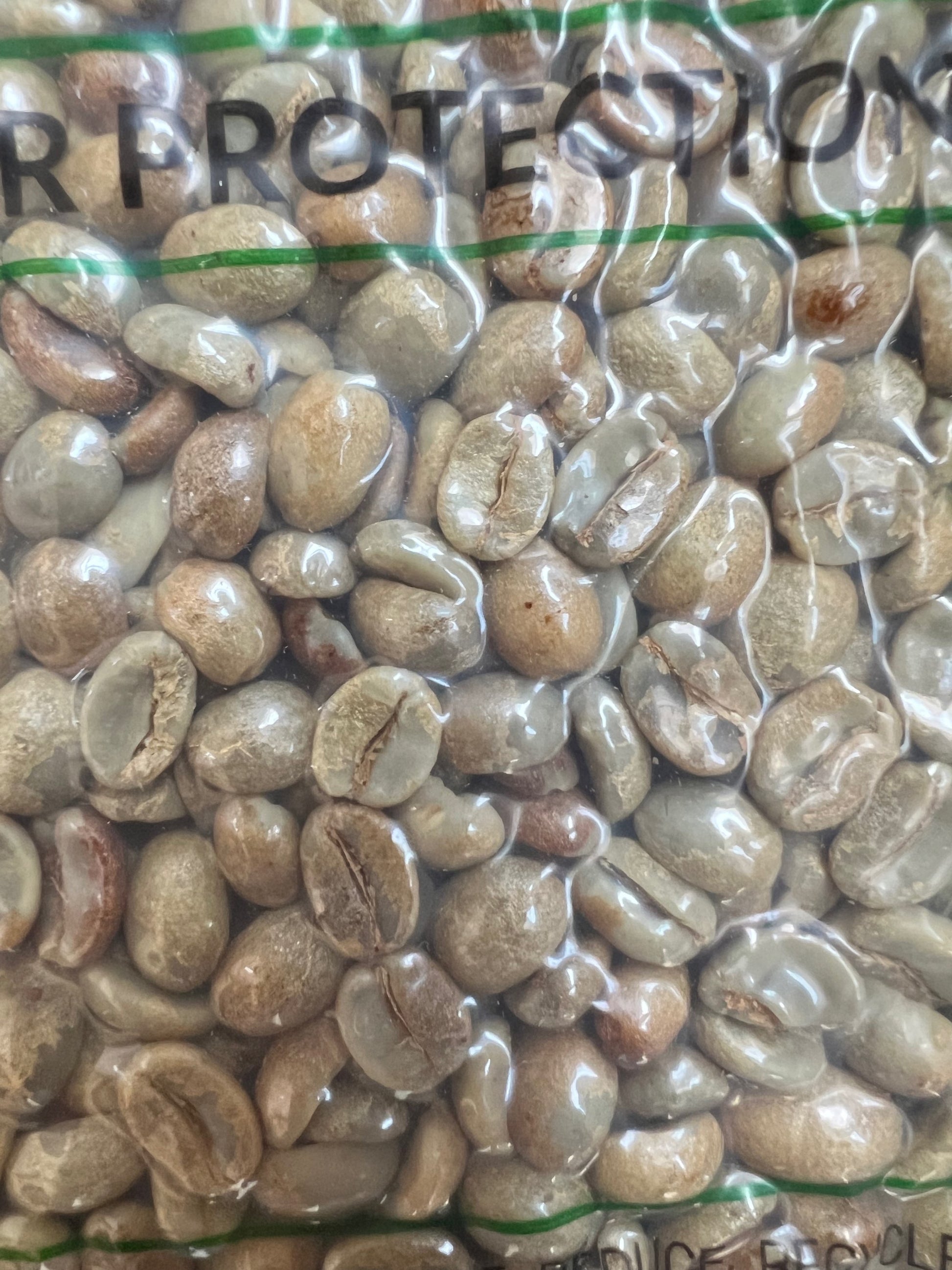 Calidad (Green Coffee Seeds) 1LB image 4